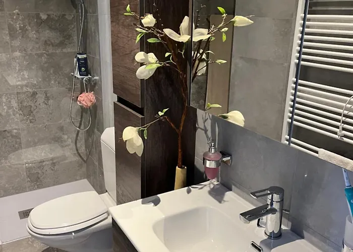 Paradiso 로카르노